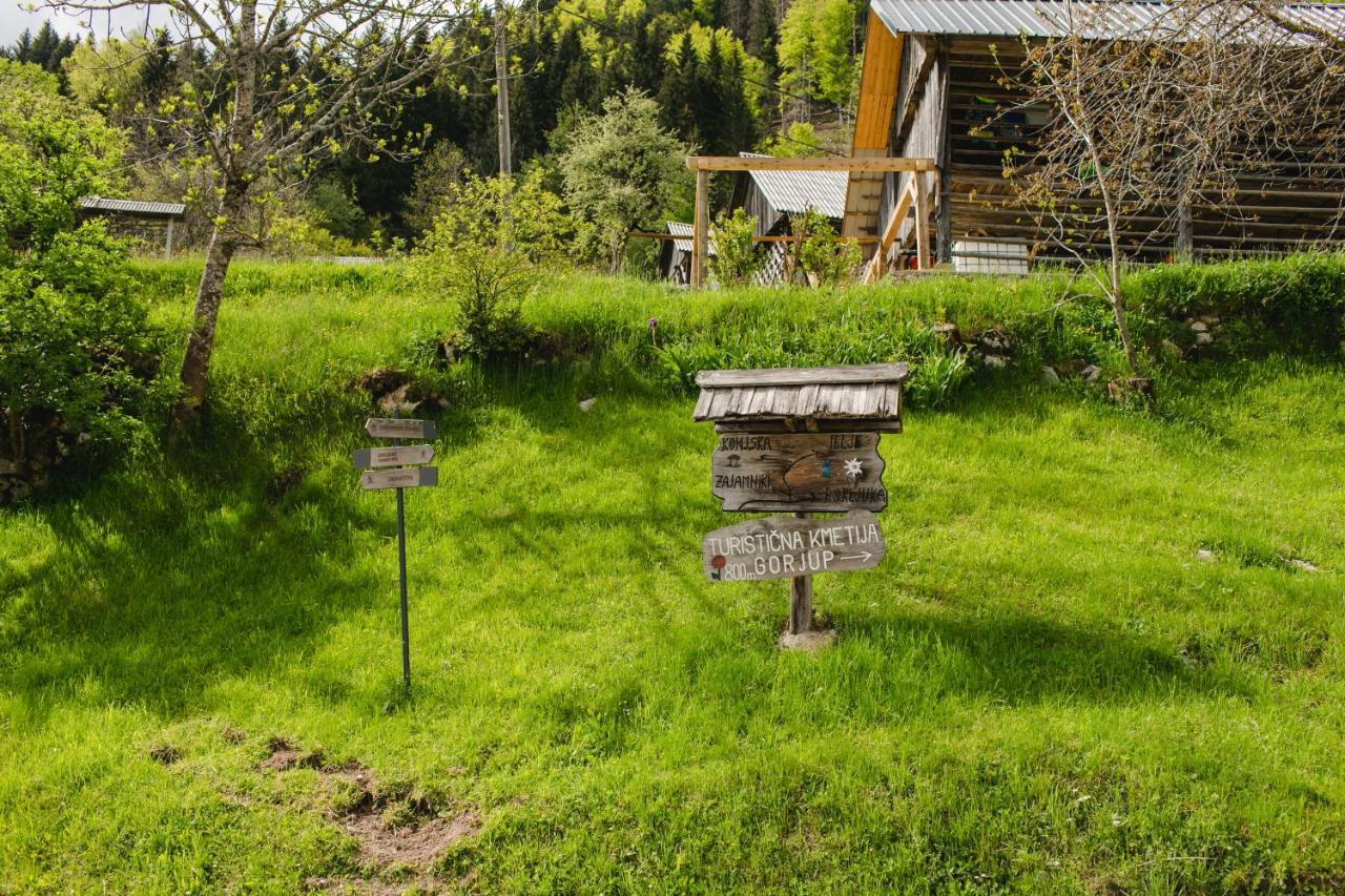 Wood House Irena-Pocitniska Hisa Villa Бохин Екстериор снимка