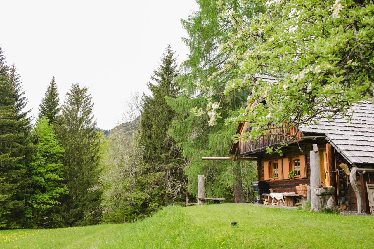 Wood House Irena-Pocitniska Hisa Villa Бохин Екстериор снимка